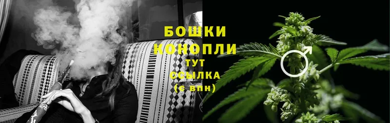 Бошки Шишки White Widow  Правдинск 